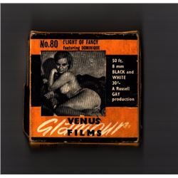 8 mm erotic film Flight of Fancy