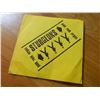 Image 1 : **** FEATURE ITEM **** VINYL RECORD - 45 - STURGEONS - PUNK ROCK VIRGINS - 1 OF ONLY 500 PRESSED - R