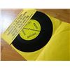 Image 2 : **** FEATURE ITEM **** VINYL RECORD - 45 - STURGEONS - PUNK ROCK VIRGINS - 1 OF ONLY 500 PRESSED - R