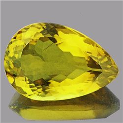 Natural Whisky Golden Yellow Citrine 13.58 Ct - FL