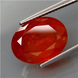 Natural BIG  Spessartite Garnet Africa 11.70 Cts