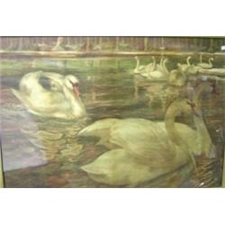English School (19/20th Century) Swans on a Lake with monogram lower left "TBG", lithograph, 70 x 1.