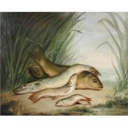 Jonah M Child of Dudley (19th Century) Pike, Trout and Chubb on a Bank, signed on the reverse of th.