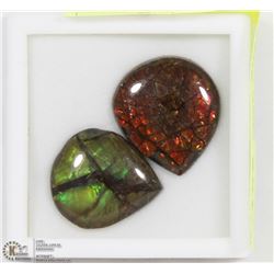 #2-2 GENUINE CANADIAN AMMOLITE GEMSTONES