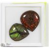 Image 1 : #2-2 GENUINE CANADIAN AMMOLITE GEMSTONES