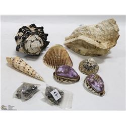 FLAT OF DECORATIONS SEASHELLS