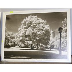 LARGE FRAMED VINTAGE NEW YORK SKYLINE PHOTO