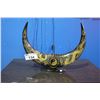 Image 1 : SET OF CARVED BULL HORNS