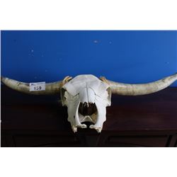 BULL SKULL WITH HORNS