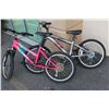 Image 1 : NEXT AND MONGOOSE YOUTH BIKES