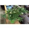 Image 2 : LIVE SMALL PINE TREE
