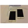 Image 1 : 2 APPLE IPHONE 6 PLUS SILVER