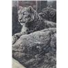 Image 2 : FRAMED PRINT BY KALO BOUGHN