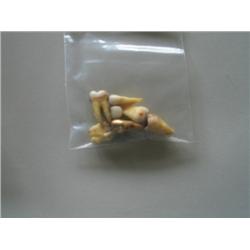 LOT, ASST. TEETH W/APPROX. 17.5G DENTAL GOLD
