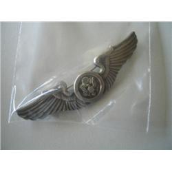 AIR FORCE WINGS