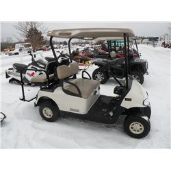 2009 EZ Go RXV gas golf cart SN#-5031765