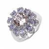 Image 1 : Sterling Silver Morganite Ring