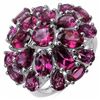 Image 1 : Sterling Silver Rhodolite Ring