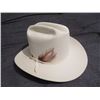 Image 1 : Biltmore Cream colour Band with Rust Feather