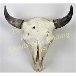 Large bleached buffalo skull horn caps, 22  tip to tip, good complete condition.  Est. 125-200