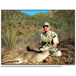 Mexican Coues Whitetail Deer Hunt