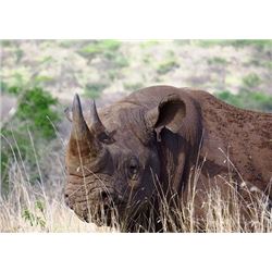 South African Photo Safari in the Big Five Game Reserve