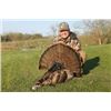 Image 1 : Combination Missouri Turkey Hunt and South African Safari
