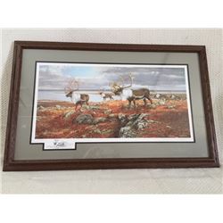 "Caribou On The Move" Artist Drawing