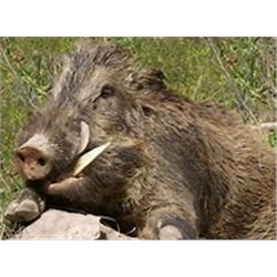 Anuritay Game Ranch: Francisco Pizarro of Anuritay Game Ranch