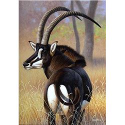 Africa Maximum: This donation is for 6 hunting days for two hunters and 2 observers.