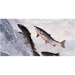 Drake Dawson and Gone Again Charters is offering a 3 day fishing adventure for 4 people in beautiful