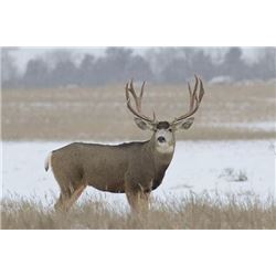 Swan Mountain Outfitters - 5-day hunt off of horseback for one hunter.