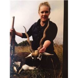 HeadHunters Hi C Ranch Texas, Trophy Blackbuck hunt Safari Style 3 days 2 nights