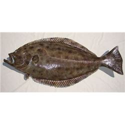 Halibut and Salmon Fishing trip 1 day