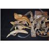 Image 2 : ALIEN CREATURE & DEMON CLAWS TEETH & HORNS HUGE HORDE