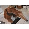 Image 1 : KINGDOM HOSPITAL STEPHEN KING SCREEN MATCHED HERO ANTEATER ANIMATRONIC PUPPET COSTUME