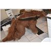 Image 3 : KINGDOM HOSPITAL STEPHEN KING SCREEN MATCHED HERO ANTEATER ANIMATRONIC PUPPET COSTUME