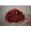 Image 1 : ZZ-CLEARANCE TRUE BLOOD SEVERED IN HALF CORPSE GORE