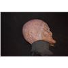 Image 2 : ALIEN HEAD OOAK DISPLAY