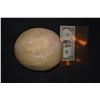 Image 1 : SAUSAGE PARTY GROCERY STORE UNUSED CANTALOUPE 2