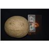 Image 1 : SAUSAGE PARTY GROCERY STORE UNUSED CANTALOUPE 3