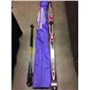 Image 1 : KNEISSL CRUISE-R DOWNHILL SKIS W/ POLES