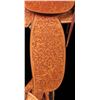 Image 9 : Chuck Stormes (TCAA) Custom Saddle