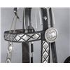 Image 18 : Keyston Bros. Parade Saddle Set