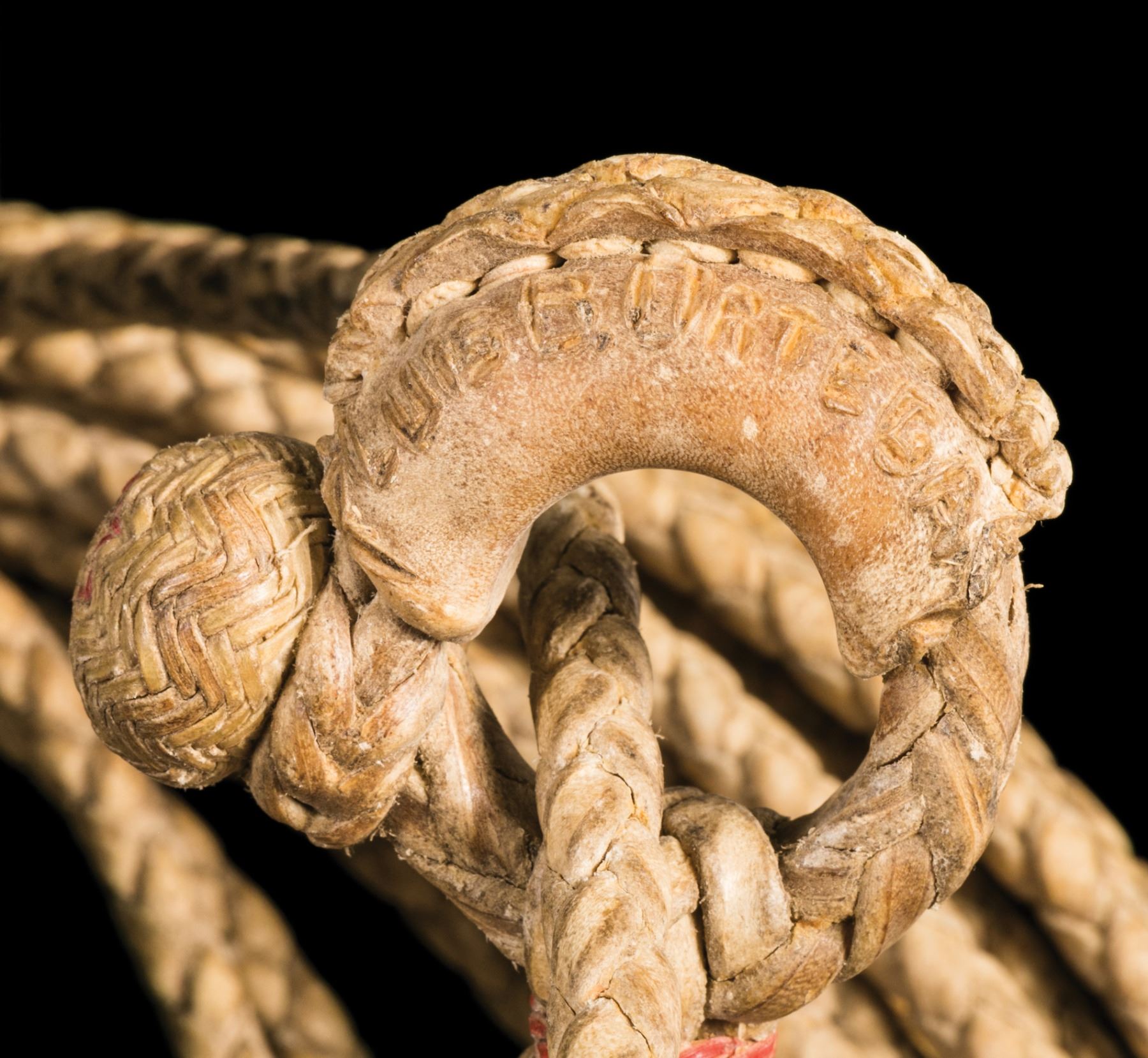 Luis B. Ortega Rawhide Reata