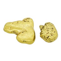 Lot of (2) Alaskan Gold Nuggets 13.82 Grams