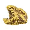 Image 1 : 6.38 Gram Gold Nugget