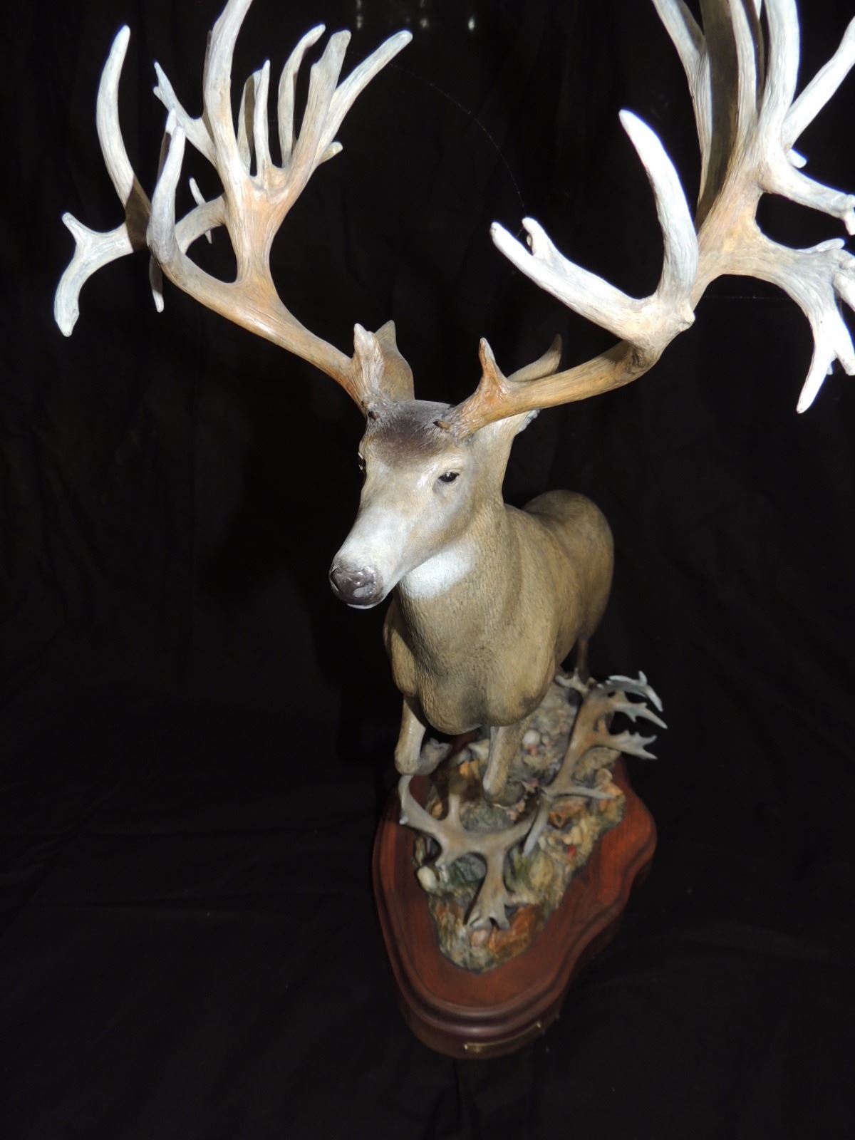 Bronze Mule Deer Sculpture by Larry Gay 24"high by 18" wide by 9" long