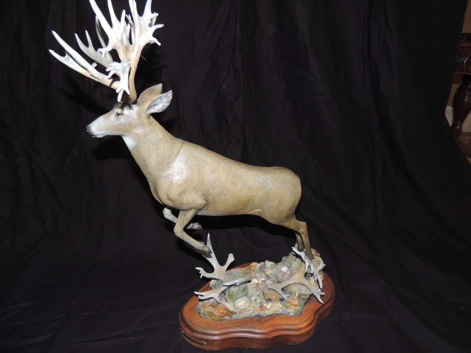 Bronze Mule Deer Sculpture by Larry Gay 24"high by 18" wide by 9" long