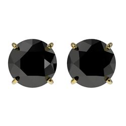 2 CTW Fancy Black VS Diamond Solitaire Stud Earrings 10K Yellow Gold - REF-40F9N - 33085